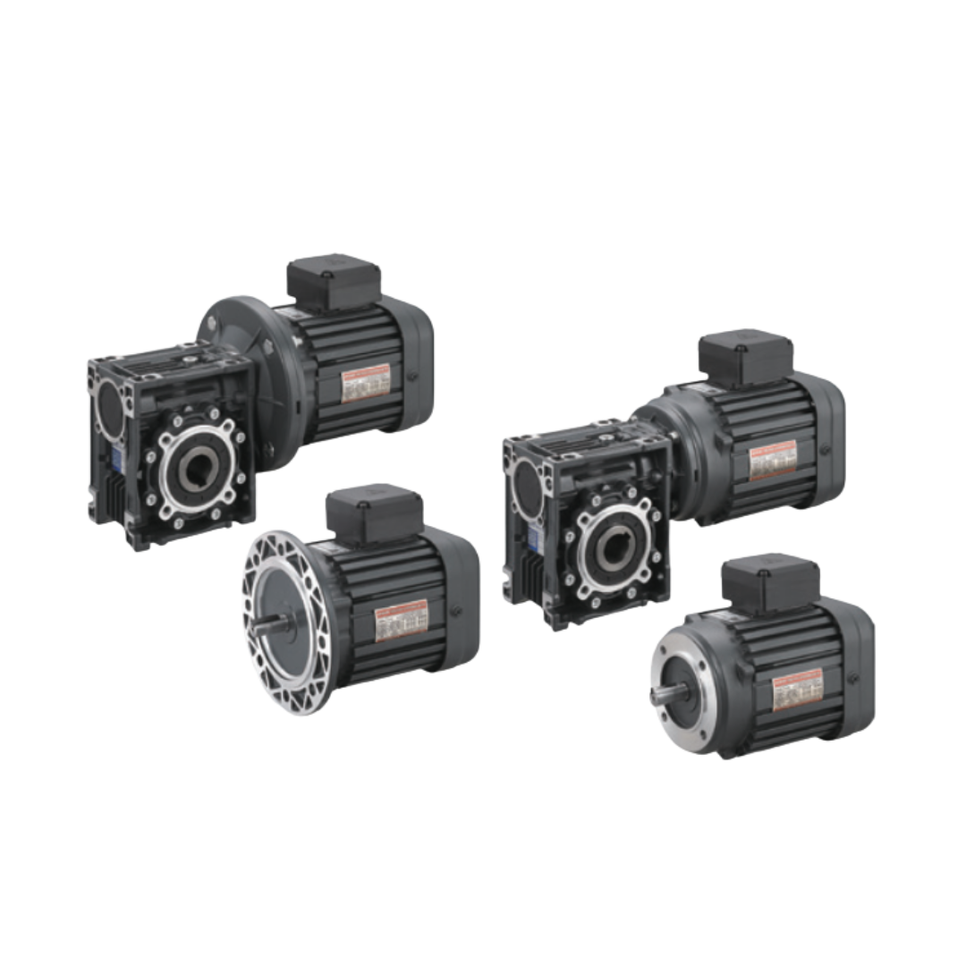 Worm Gear Motor