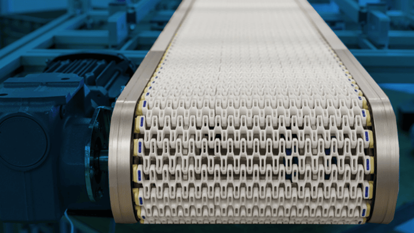CONVEYOR BELT