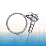 Resistance Temperature Detector (RTD) Untuk Industri